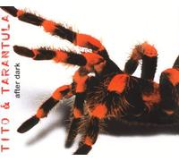 Tito & Tarantula - After Dark