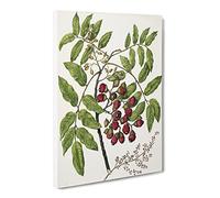 Titoki Flowers By Sarah Featon Canvas Print | Gallery Wrapped 30mm Frame Wall Art | 30x20 inches | Ready to Hang | Retro Floral Picture | Living Room Bedroom Lounge Office