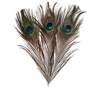 Tiuimk Natural Peacock Feathers - Pack of 10 - Iridescent Colors - 9 to 13 inches