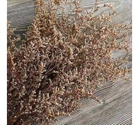 TIVAS 29g 30-35cm Decorative Dry Natural Lover Grass Dried Preserved Dancing Flowers Forever Flower Grass Branch Home Decor