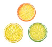 Tivleed 24 Pcs Fake Lemon Slices, Artificial Plastic Fruit Decor - Realistic Yellow/Green/Orange Slices for Wedding, Kitchen, DIY Crafts, Photography Props (5x1cm & 4x0.5cm)