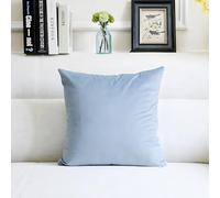 Tivleed Blue Cushion Covers, Duck Egg Blue Cushions, Luxury Velvet Cushion Cover Super Soft Decorative Square Throw Pillow Case for Sofa Couch Bedroom Car Decor 45x45cm (2, Wathet)