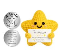 Tixlux Positive Star Handmade Knitted Crochet Animals, with Pocket Hug Lucky Charm, Good Luck | Emotional Support | Get Well Soon |Birthday | Friendship Gifts for Women Bestie Men