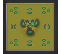 Tixqeaif 1 Piece Magnetic Field Detector to See Magnetic Fields for Scientific Project Teaching