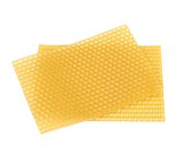 Tixqeaif 50PCS Beekeeping Hive Beekeeping Honeycomb Foundation Frame Hive Garden Hive Beekeeping Tools