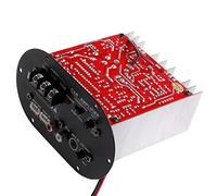 Tixqeaif Car Amplifier Board 12V High Power Subwoofer Amplifier 120W Full Tone Pure Bass Car Subwoofer Core 8-12 Inch