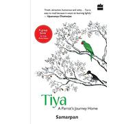 Tiya: A Parrot's Journey Home