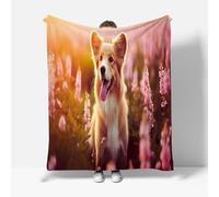Tizhweqo Corgi Printed Blanket, 3D Dog Fluffy Fleece Flannel Throw Blanket Lightweight Soft Warm Blankets for Couch Sofa Bed Travel Bedroom Decor 200x240 cm 6433p