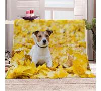 Tizhweqo Jack Russell Terrier Printed Blanket, 3D Autumn Fluffy Fleece Flannel Throw Blanket Lightweight Soft Warm Blankets for Couch Sofa Bed Travel Bedroom Decor 70x100 cm 4060p