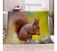 Tizhweqo Squirrel Printed Blanket, 3D Animals Fluffy Fleece Flannel Throw Blanket Lightweight Soft Warm Blankets for Couch Sofa Bed Travel Bedroom Decor 130x150 cm 6438p