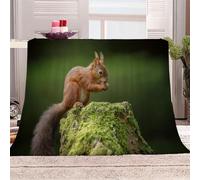 Tizhweqo Squirrel Printed Blanket, 3D Animals Fluffy Fleece Flannel Throw Blanket Lightweight Soft Warm Blankets for Couch Sofa Bed Travel Bedroom Decor 200x200 cm 6585p