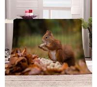 Tizhweqo Squirrel Printed Blanket, 3D Squirrel Fluffy Fleece Flannel Throw Blanket Lightweight Soft Warm Blankets for Couch Sofa Bed Travel Bedroom Decor 150x200 cm 6313p