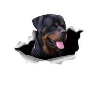 TIZIKJ Rottweiler Decal 15 cm (5.9 Inch) PVC Car Sticker, Coloured, Universal Fit