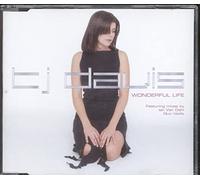 TJ Davis - Wonderful Life