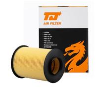 TJ Filters Car Engine Air Filter QFA0484 OEM Matching Quality, Exact-Fit Replacement Fits FORD