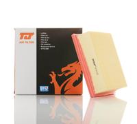 TJ QFA0318 Air Filter