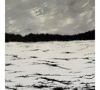Tjaktjadálvve - Echoes On A Windswept Plain