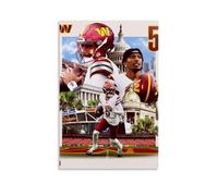 TJLTXV Jayden DanielsArtistic Waterproof High-definition Poster Kitchen Bathroom Dormitory No Drilling Easy to Install Multi Scene Decoration24x36inch(60x90cm) Unframe-style