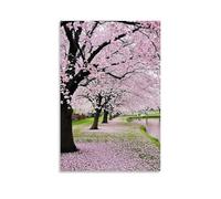 TJLTXV Sakura RoadArtistic Waterproof High-definition Poster Kitchen Bathroom Dormitory No Drilling Easy to Install Multi Scene Decoration16x24inch(40x60cm) Unframe-style