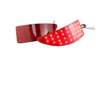 TjOta Rear Bumper Reflector Light For Lexus IS250 IS350 IS220d IS200d 2006-2013 LED Rear Bumper Reflector Light Signal Tail Brake Lamp OEM:81910-53021 81920-53021(Red Housing)
