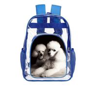 TKJMCSW 16" Clear Backpack Waterproof Stadium Bag for Security, Blue