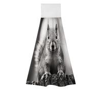 TKJMCSW 2 Pack Kitchen Towels with Hanging Loop Super Soft & Absorbent Light Gray Squirrel Hand Tie Towels Decorative Cleaning Tea Washcloth Quick-Dry Dish Towel for Bathroom Laundry Gym 19.1x12.6