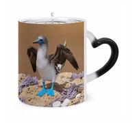 TKJMCSW Coffee Mug 11 Oz Blue-footed Booby on Reef Color Changing Mugs, Heat Changing Coffee Mugs with Handle, Heat Sensitive Magic Mug for Women Men Funny Ceramic Cup for Tea Latte Milk Cocoa