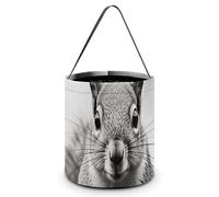 TKJMCSW Halloween Trick Or Treat Bucket Light Gray Squirrel Candy Bag with Handle Reusable Goodie Basket Tote Large Snack Grocery Party Favors Supplies