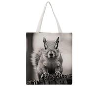 TKJMCSW Light Gray Squirrel Canvas Tote Bag for Women with Handles Reusable Grocery Cloth Bag Foldable Tote Purse Travel Casual Everyday Shoulder Bags Shopping Handbag for Teacher Nurse Gift