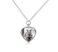 TKJMCSW Light Gray Squirrel Pet Ashes Necklace with Filling Kits 27.6" Cable Chain Memorial Cremation Urn Necklace Jewelry Souvenir Keepsake for Human Ashes Dogs Cats Sympathy Gift for Women Men