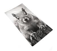 TKJMCSW Microfiber Light Gray Squirrel Bath Towel 29x14 Super Absorbent & Quick Dry Travel Hand Towel for Bathroom Lightweight Thin Face Towels for Swim Gym Spa Yoga Vacation Essentials