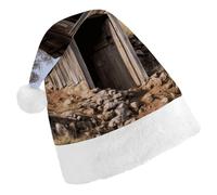 TKJMCSW Santa Hat Old Ancient Outhouse Christmas Hats Cap Double Comfort Santa Claus Hats Xmas Holiday Hat New Year Festive Party Supplies