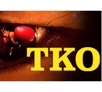 TKO Steam CD Key