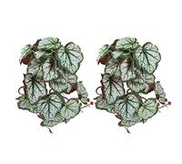 TKSE 2PCS Fish Tank Decorations, Fish Tank Accessories, Animal-Safe Artificial Plastic Aquarium Plants Suitable for Aquariums and Reptiles