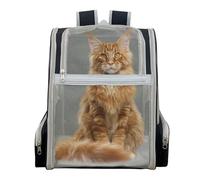 Tktouci Backpack Cat Carrier,Dog Backpack Carrier | Breathable Pet Supplies with With Removable Plush Cushion for Picnic, Hiking, Camping