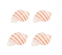 Tlarsun Large Natural Conch Sea Shell Ocean Beach Large Seashells Shell Crafts Creative Gift for Home fish ornaments Coastal Beach Decor Decoration Storage Bowls Home Office Nautical Themed Party