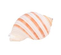 Tlarsun Large Natural Conch Sea Shell Ocean Beach Large Seashells Shell Crafts Creative Gift for Home fish ornaments Coastal Beach Decor Decoration Storage Bowls Home Office Nautical Themed Party