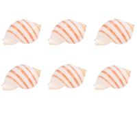 Tlarsun Large Natural Conch Sea Shell Ocean Beach Large Seashells Shell Crafts Creative Gift for Home fish ornaments Coastal Beach Decor Decoration Storage Bowls Home Office Nautical Themed Party