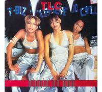 TLC - Diggin on You [12" VINYL]