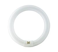 Philips Master Fluorescent Lamp TL-E 40W 840 Circular Super 80 G10Q Ring Tube