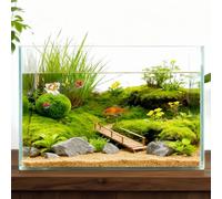 Tlence 3 Gallon Glass Fish Tank, Small Betta Fish Aquarium, Ultra Clear Rectangular Glass Bowl for Shrimp, Mini Desktop Aquatic Planting Cube for Goldfish Snails, Easy to Clean
