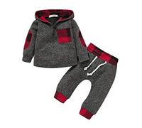 TMEOG Baby Clothing Sets Infant Toddler Boys Girls Sweatshirt Set Winter Fall Clothes Outfit 0-3 Years Old,Baby Plaid Hooded Long Sleeve Tops+Pants (Red, 18-24 Months)