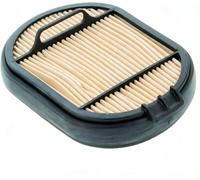 TMLGB AF24309 Oval Air Filter, for Compatible with Deutz Fahr 4070E 4080E 4090E 4100E 2018 Engine. For Compatible with the Same ARGON 70 80 90 100 2014 Model. Replacement for Deutz 90016259 Claas