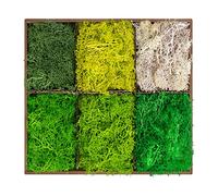 Tmovjxv 6 Colors Preserved Moss-16.9 OZ Natural Reindeer Moss-Moss for Crafts, Potted Plants Floral Arrangements Home Artistic Garden Decoration