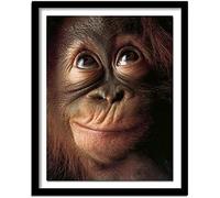 TMXON 5D Diamond Art Kit Monkey Apes Orangutan Chimpanzee Ape Picture Full Drill DIY Diamond Painting Embroidery Handmade for Adults Kids Cheap 50x60CM