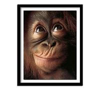 TMXON 5D Diamond Art Kits Ape Apes Orangutan Chimpanzee Monkey Picture Drill DIY Diamond Painting Embroidery Handmade Adults Kids Cheap for Living Room Bedroom Wall Decor 30x40CM