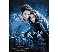 TMXON Diamond Painting Twilight City Movie Poster 5D DIY Diamond Embroidery Art Kits Decorations Home 50x60CM