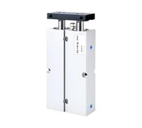 TN Double-axis Double-Rod Cylinder Double Thrust Large Cylinder Diameter TN32/40/50 * 10X20 Hard Oxidation + Strong Magnetic(TN40X10-S)