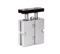 TN Dual axis Double Rod high Thrust TN10X16X20X25X32X40/50/60-S with Magnetic Cylinder