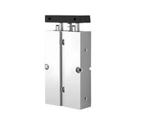 TN Series Pneumatic Cylinder Double Rod Cylinder Bore TN10 TN16 TN20 TN25 TN32 Stroke 5mm 10mm 20mm 30mm 40mm 50mm Air Cylinder(Stroke 150mm,Bore 10)